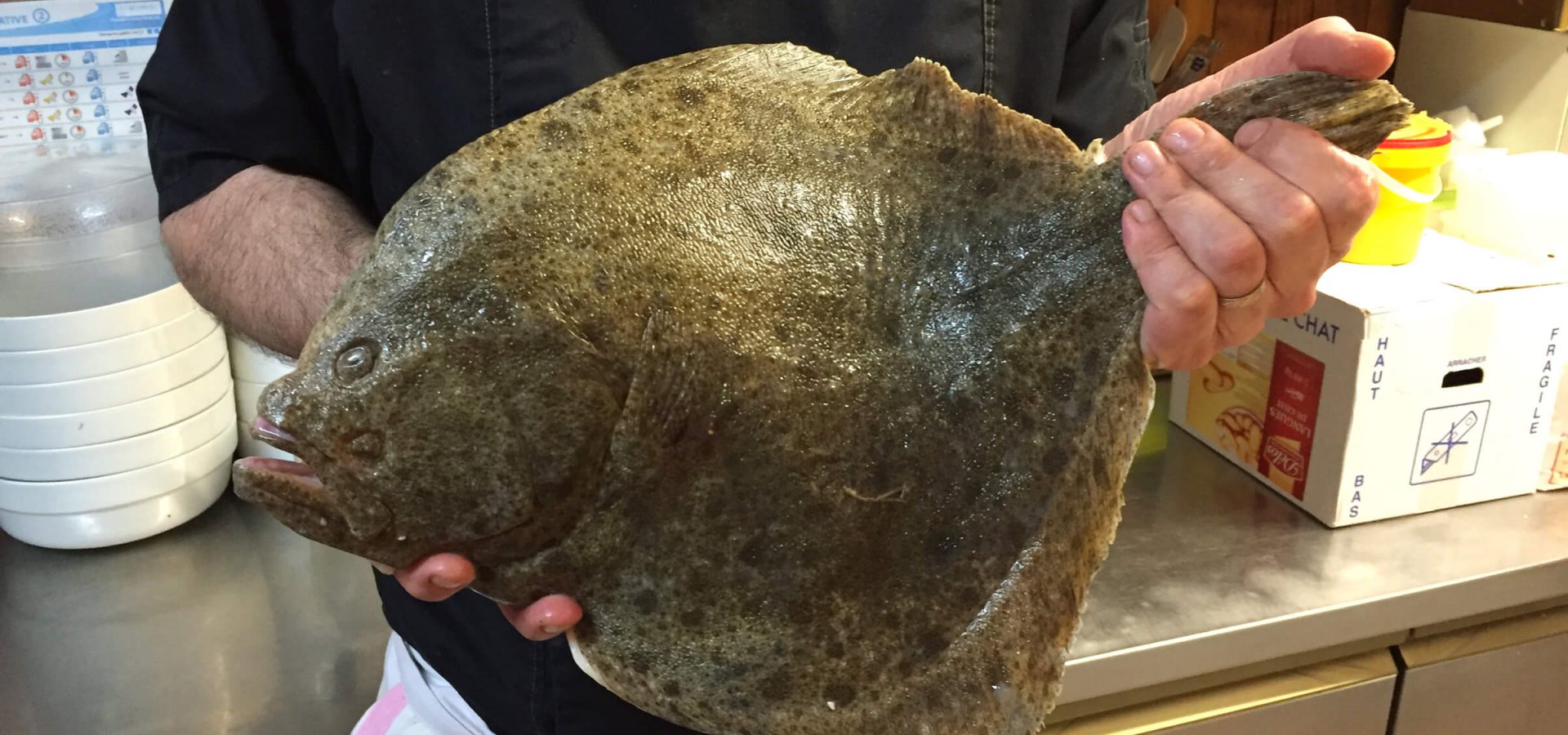 Cuisine traditionnelle, poissons frais et viandes bretonnes
